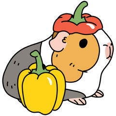 guinea pig and bell pepper