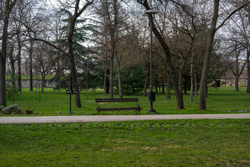 Brown benches for sitting in the city park surrounded by greenery and flowers. Benches for rest and relaxation. Next to the benches there are concrete paths for sitting and running.
