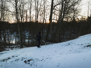 A man walks with a Siberian husky dog ​​on a leash in nature in Estonia on a winter morning.