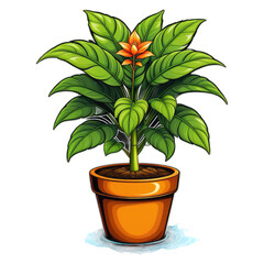 Obraz premium potted green plant png assets 