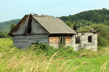 Vintage abandoned old dilapidated wooden family house with destroyed roof and broken windows surrounded with overgrown vegetation and tall uncut grass with dense forest on small hill in background