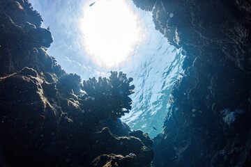 素晴らしいサンゴ礁にある水中洞窟。
頭上から日光の光線が差し込んで非常に美しい。
出口にはピンク色の美しい枝サンゴがあった。

沖縄県島尻郡座間味村阿嘉島の外地島沖にて。
2021年4月28日水中撮影。


An underwater cave on a wonderful coral reef.
Very beautiful with rays of sunlight overhead.
The