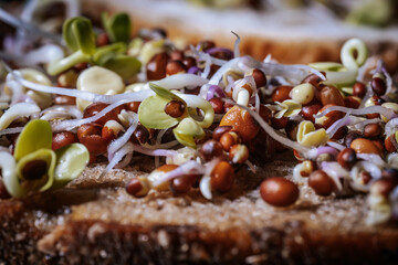 Mixed microgreens with cotyledons and roots on bread. A set of vitamins. Soft selective focus....