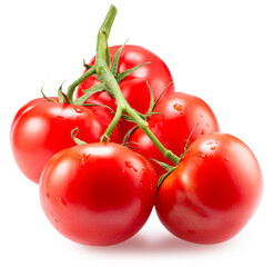 fresh tomatoes on a branch isolated on the white background. Clipping path
