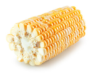 corn cob isolated on the white background. Clipping path