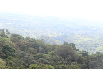 beautiful view with mountains and trees