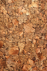 The natural texture of cork surfaces. Cork textures add a warm, organic feel to your background.
