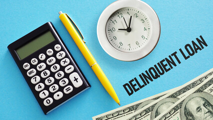 Delinquent loan is shown using the text