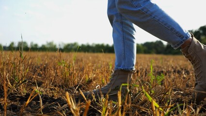 Female feet of farmer going through the wheat meadow at sunset. Legs of agronomist in boots walking...