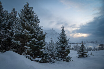 Winter beauty with trees covered in snow