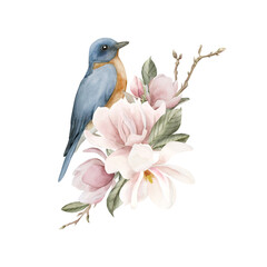 Blue bird on a branch with light pink magnolia flowers. Watercolor illustration for print, label, logo or packaging.