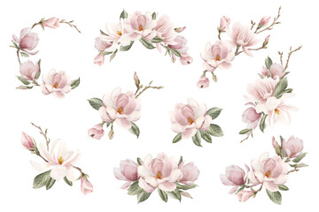 Fototapeta premium Set of compositions with light pink magnolia flowers, buds, sprigs and leaves. Spring floral watercolor illustration