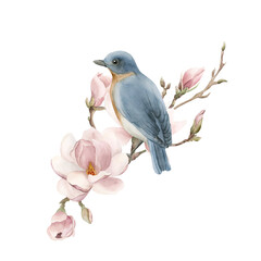 Blue bird on a branch with light pink magnolia flowers. Watercolor illustration for print, label, logo or packaging.