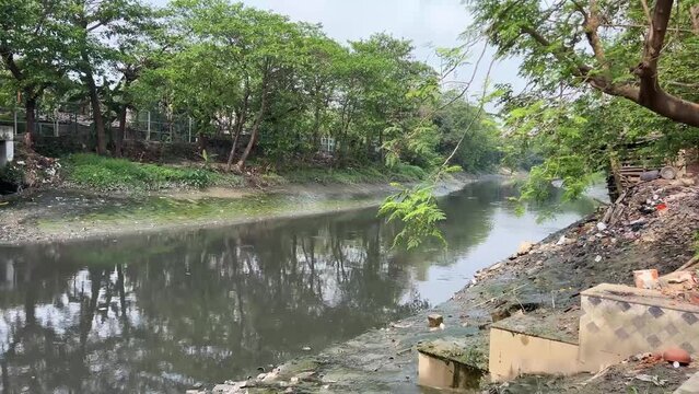 Profile view of polluted Adi Ganga in Kolkata, India.