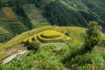 The beautiful rice terraces of Mu Cang Chai, Yen Bai, Vietnam