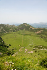 Fototapeta premium A large, grassy field with a mountain in the background Enol lakes in covadonga asturias