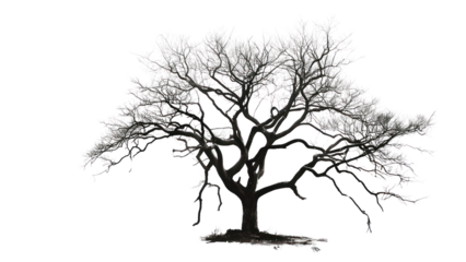 A large tree with no leaves is depicted in black and white