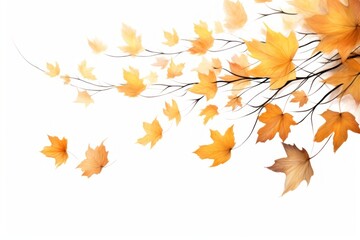 Fototapeta premium Ink fall leaves backgrounds plant maple.
