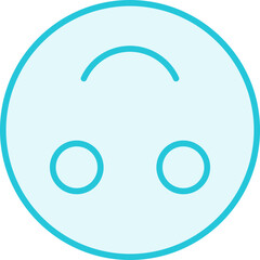False Icon