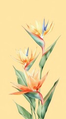 Realistic vintage drawing of bird of paradise flower pattern plant.