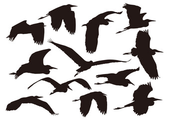 collection set of silhouettes of birds blue heron silhouse