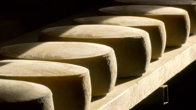 cheese wheels on wooden shelf in mountain pasture hut, natural sunlight, zoom in