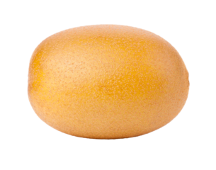 A mature golden kiwi displays its vibrant yellow skin and distinctive texture, set against a white background, perfectly isolated. Transparent PNG