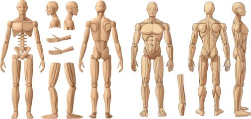 Wooden manikin. Wood man human anatomy statue, handmade puppet toys men figure mannequin doll with hands - obrazy, fototapety, plakaty