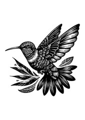 hummingbird vector