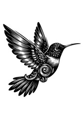 hummingbird vector