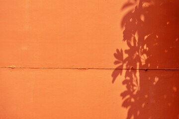 A shadow of a tree is cast on a orange wall