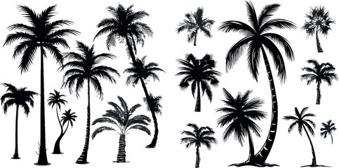 Palm tree black set