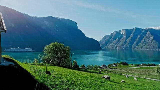 Beautiful Sognefjord Sognefjorden Nature Norway fjord Flam nature landscape