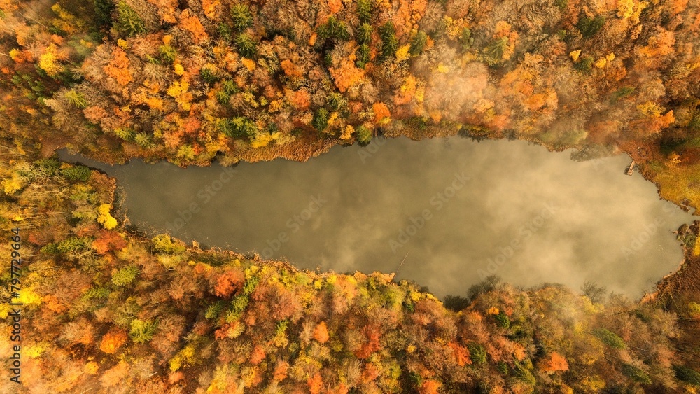 Wall mural Autumn pond surrounded by trees in the woods.