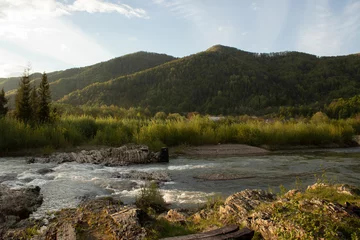 Papier peint photo  River in the mountains  © Oleksandr