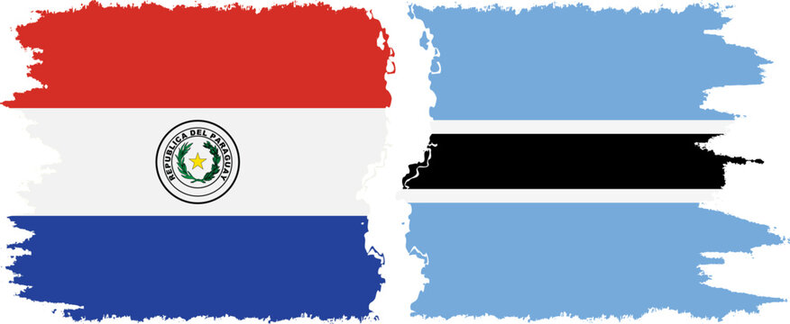 Botswana and Paraguay grunge flags connection vector