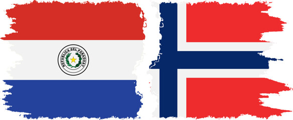 Norway and Paraguay grunge flags connection vector
