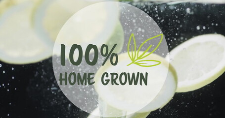 Image of 100 percent home grown text over fruit falling in water background - Powered by Adobe