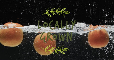 Image of locally grown text over fruit falling in water background - Powered by Adobe