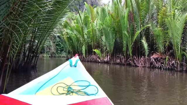 The boat sails on the river through the mangrove forest
