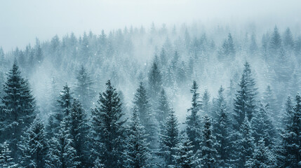 Fototapeta na wymiar snow-covered alpine forest, with evergreen trees as the background