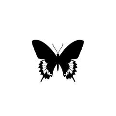 Butterfly, sitting, logo, simple, minimal, flat, black, white background  - obrazy, fototapety, plakaty