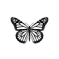 Fototapeta premium Butterfly, sitting, logo, simple, minimal, flat, black, white background 