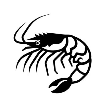 recommend clip art: Shrimp, minimalist icon, flat, black, line, white background 