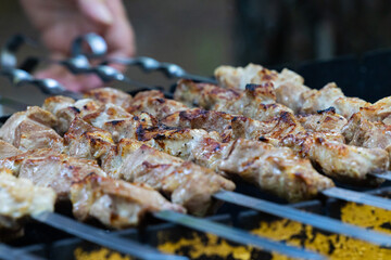 Sizzling BBQ Feast at Dusk