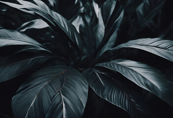 Dark Green Foliage Close-Up - Moody Botanical Textures
