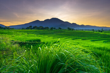 beautiful morning view from Indonesia of mountains and tropical forest