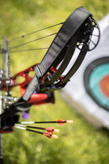 Close Up of a Bow and Arrows