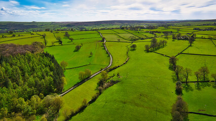 Verdant Countryside Road in North Yorkshire