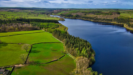 Fototapeta na wymiar Scenic River and Forest Aerial View in North Yorkshire